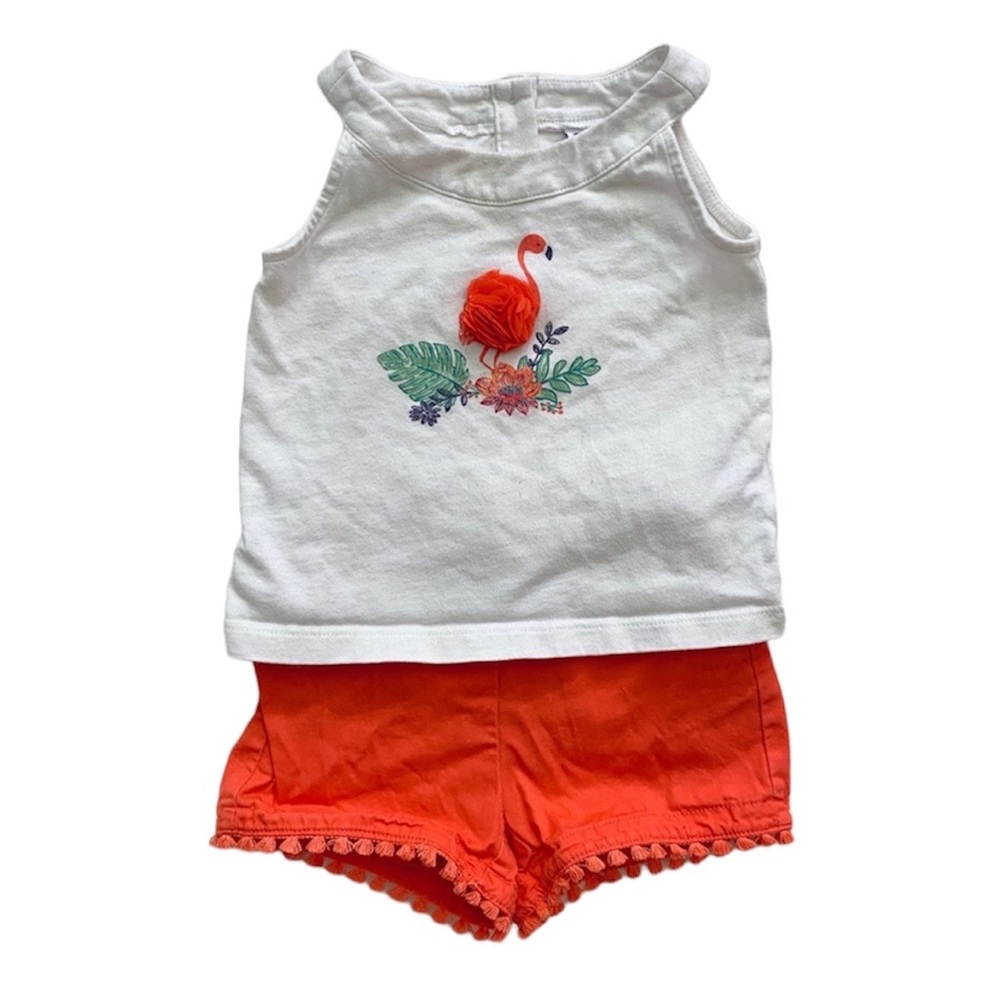 Janie and Jack flamingo outfit
